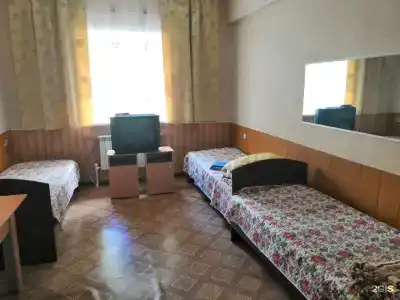 Тайга - 1