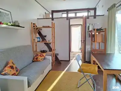 Смородина - 2