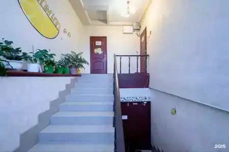 Лимон - 6