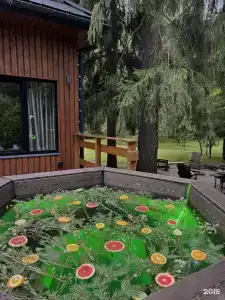 Дом и Елки - 2