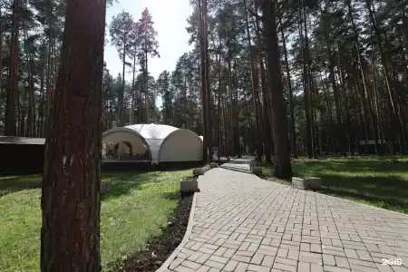 ДухЛес - 73