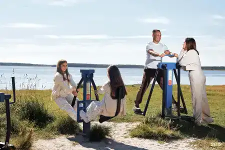 Cosmos Segezha - 16