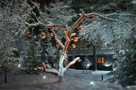 VE art resort - 61