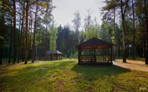 Комета - 23