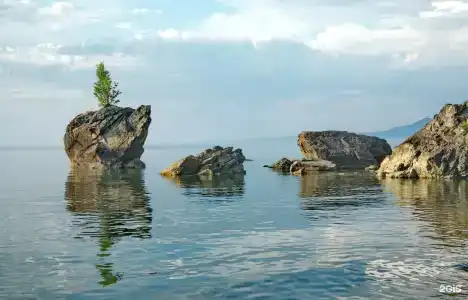 Далай - 17