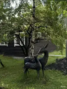 Байкальские сезоны - 122