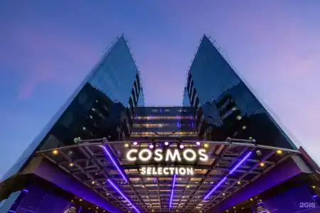 Cosmos Selection Moscow Airport в Шереметьево - 36