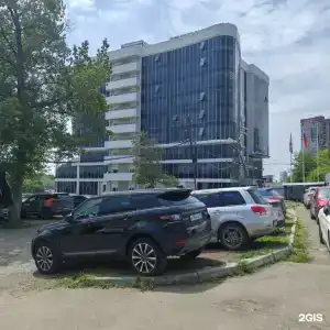 Лилия - 7