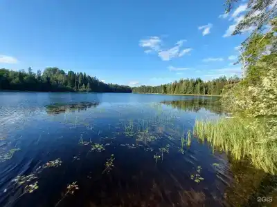 ДомВалдай - 4