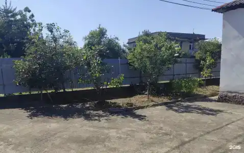 Акуна Матата - 6