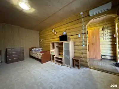 Лебедь - 11