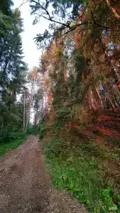 Звезда - 3