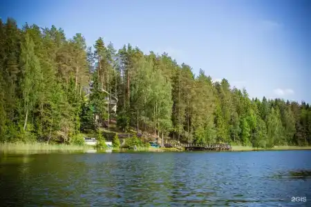 Берендеево царство - 14