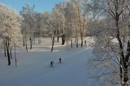 Русские Сезоны - 43