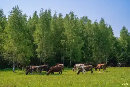 Алексеевка - 66
