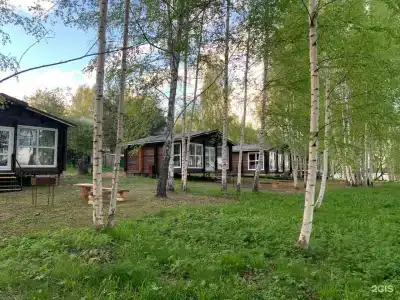 Константа - 1