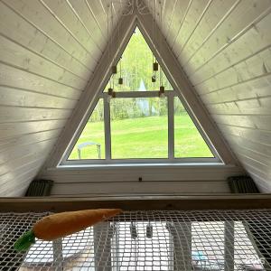 Ланьдиво - 77