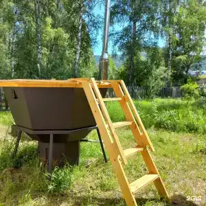 Барс - 2