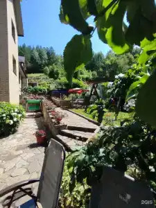 Радевичи - 31