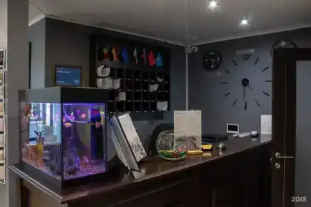 Кауфман - 4
