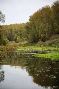 Ферма Подворье Лукино - 30