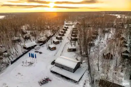 Белый клевер - 6