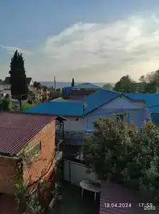 Под пальмой - 18