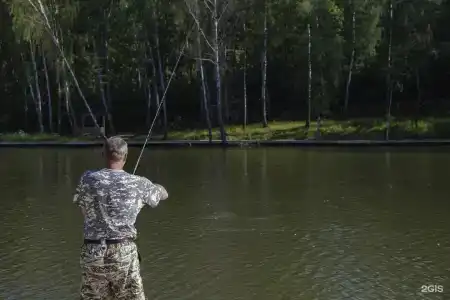Заокские поля - 120