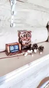 Совушкин Дом - 13