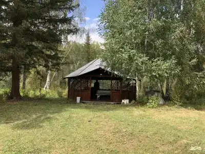 Тюнгур - 99