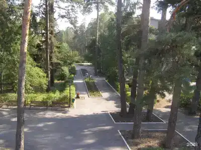 Русский бор - 125