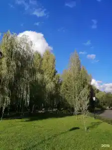 Русская охота - 50