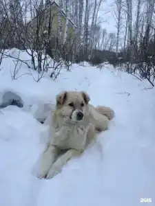 Ручеек - 65