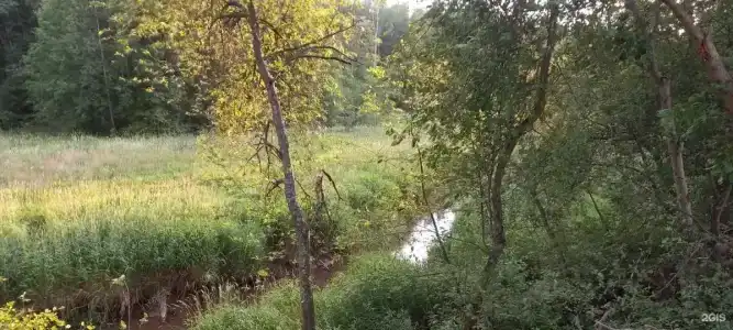 Черный ручей - 9