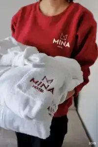 Мина - 22