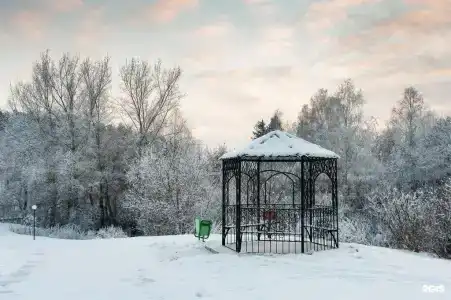 Сосновый бор - 38
