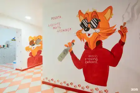 Red Cat - 16