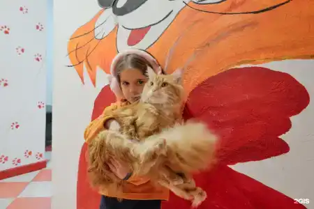 Red Cat - 36