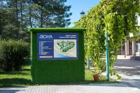 Дюна - 88