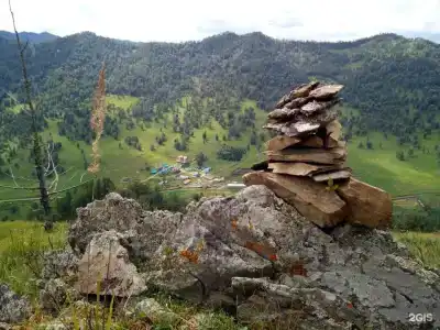 Белый марал - 40