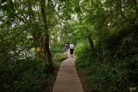 Лосево Парк - 21
