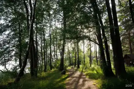 Лосево Парк - 90