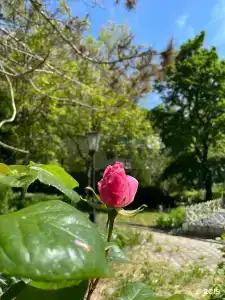 Тепло - 17