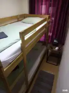 Тайга Нск - 56