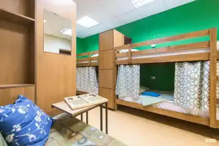 Тайга Нск - 51
