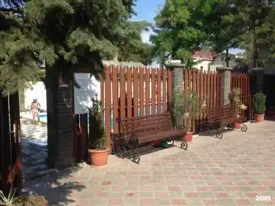 Тополь - 23
