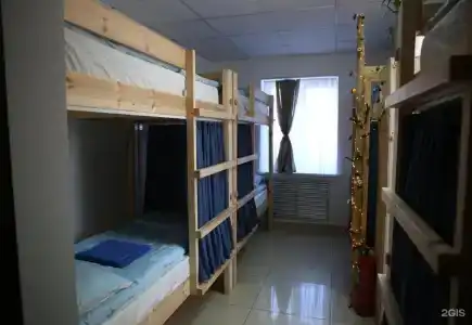 Брусника - 0