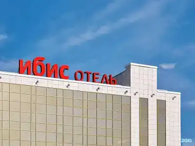 Ибис - 24