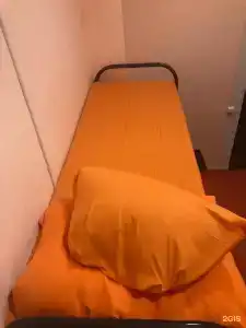 Вежливый Лось на Бунинской аллее - 69