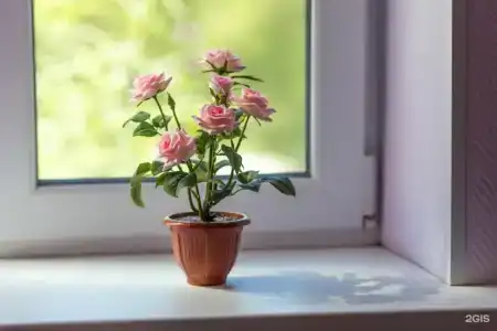 Солнечная - 10